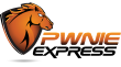 Pony express logo