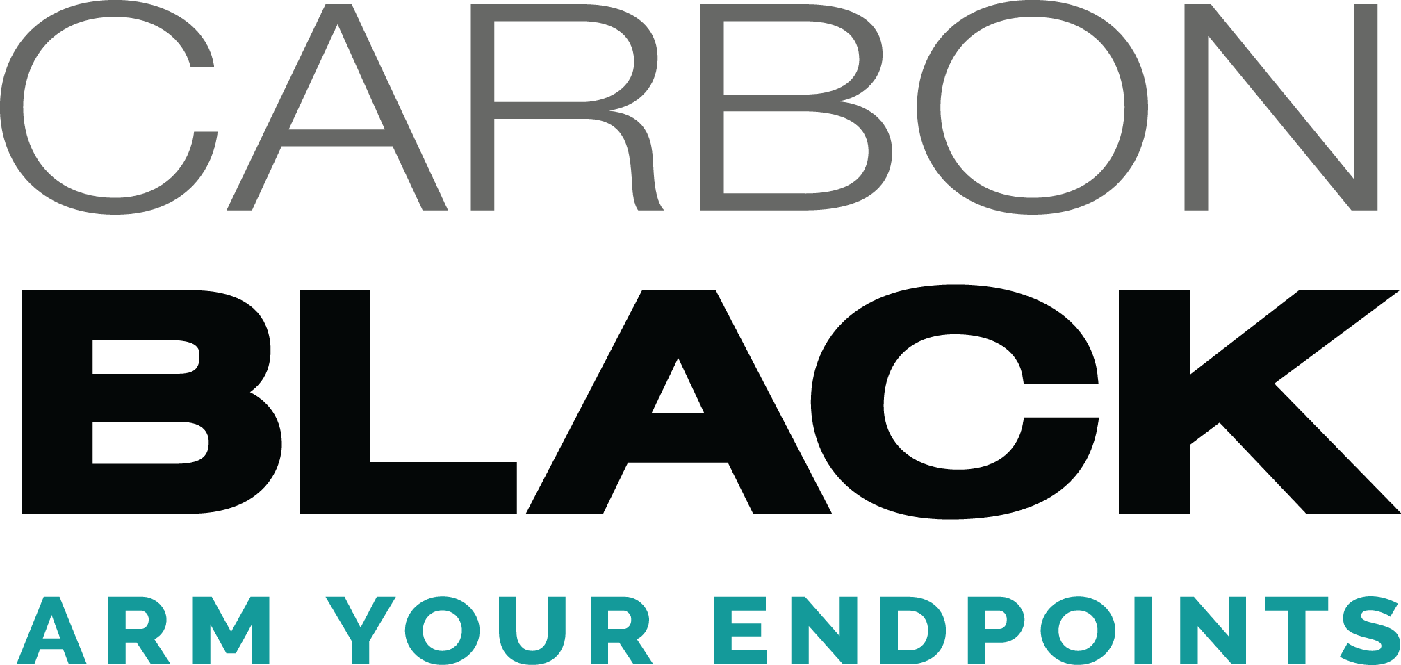Carbon Black Case Study .406 Ventures